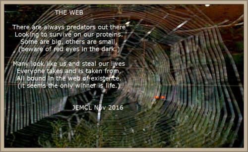 web-of-life